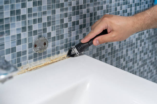 Best Residential Mold Remediation in Glasgow, VA